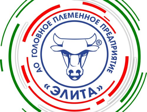 Новости наших партнеров: АО «ГПП «Элита» ( Республика Татарстан).